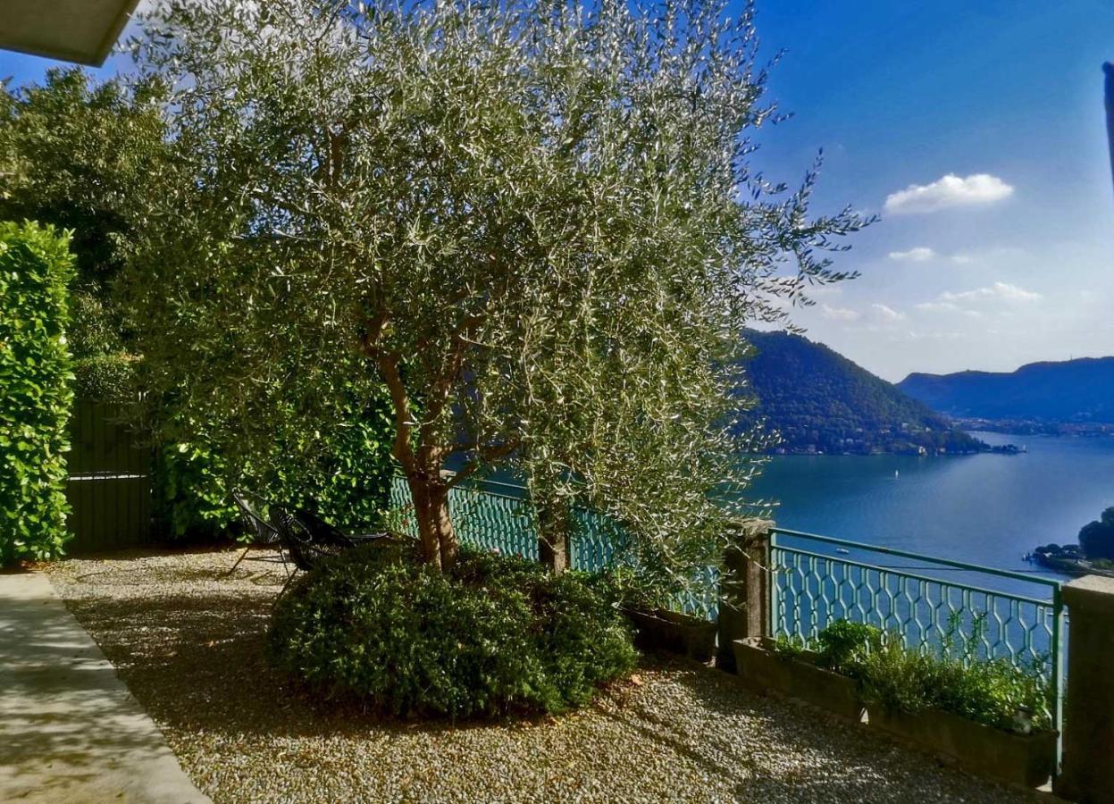 Como Lake Panorama Apartment Sveva 切尔诺比奥 外观 照片